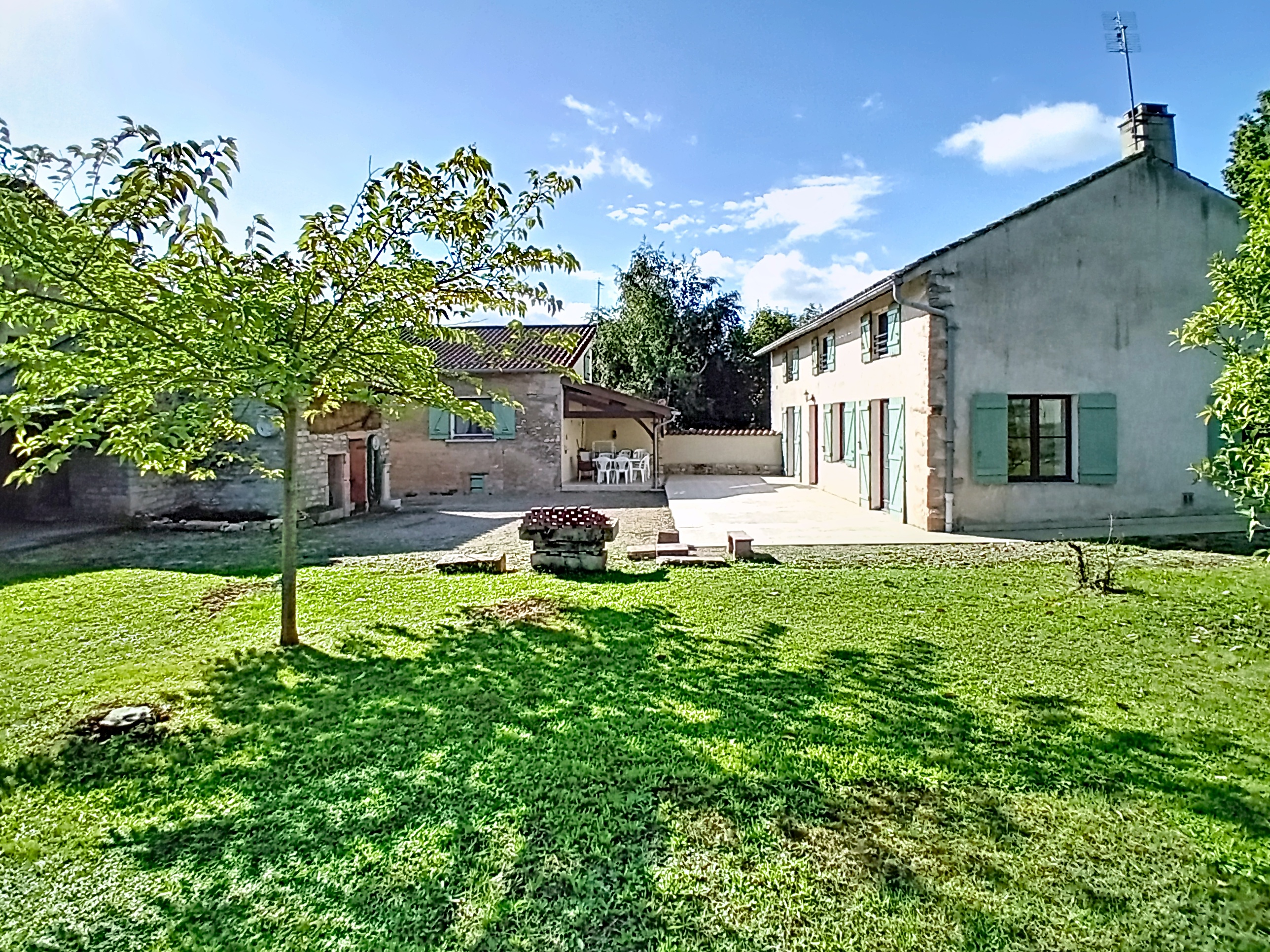 Grand jardin arbore