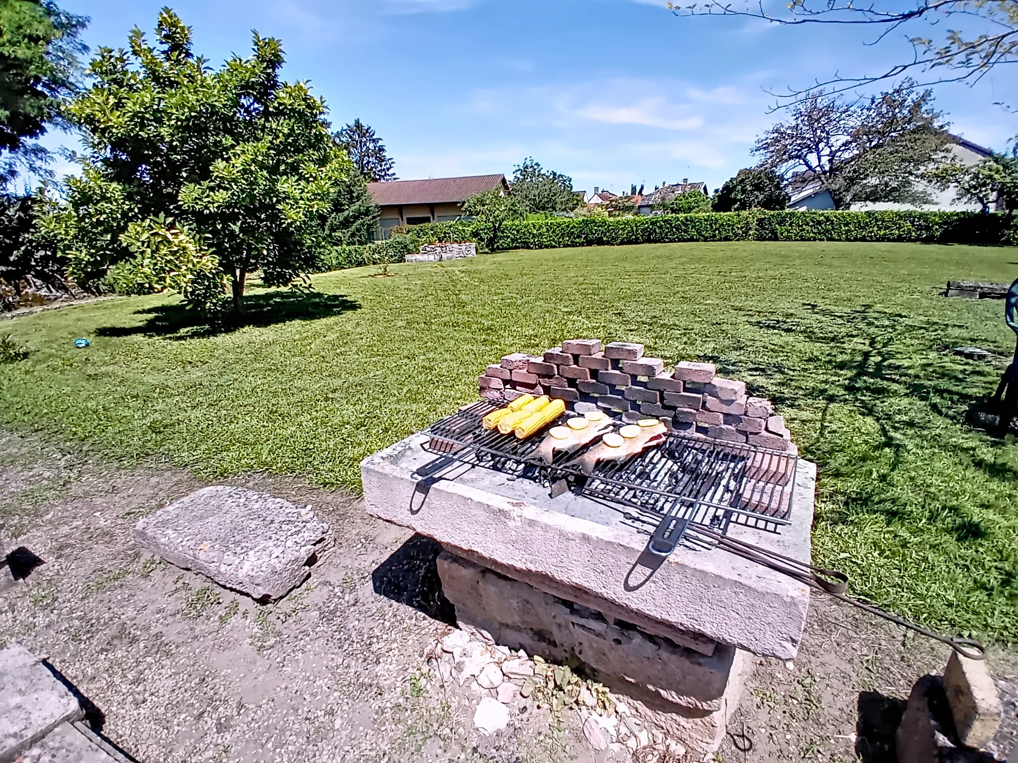 Barbecue au jardin